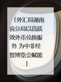 外汇局湖南省分局以高质效外币兑换服务 为中非经贸博览会赋能