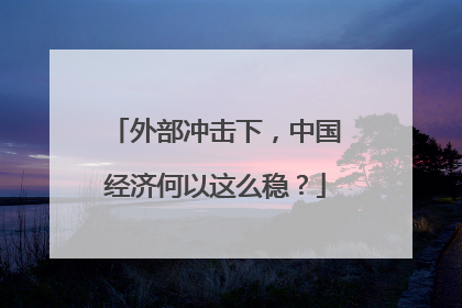 外部冲击下，中国经济何以这么稳？