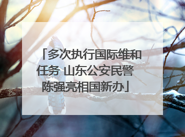 多次执行国际维和任务 山东公安民警陈强亮相国新办