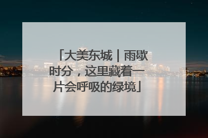 大美东城｜雨歇时分，这里藏着一片会呼吸的绿境