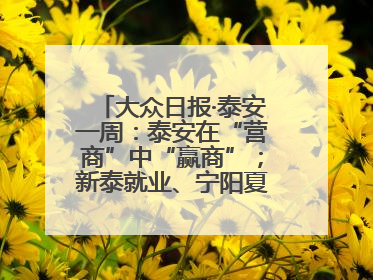 大众日报·泰安一周：泰安在“营商”中“赢商”；新泰就业、宁阳夏收工作上要闻
