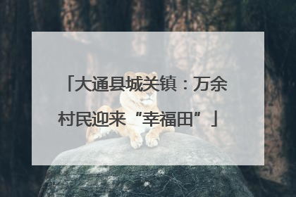 大通县城关镇：万余村民迎来“幸福田”