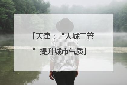 天津：“大城三管”提升城市气质