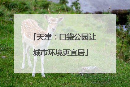 天津：口袋公园让城市环境更宜居