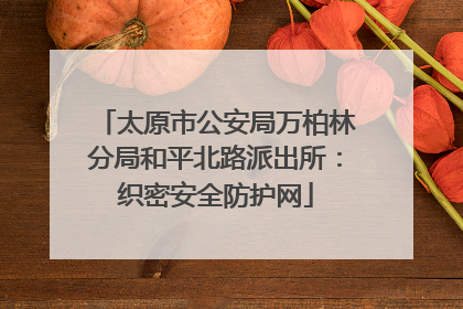 太原市公安局万柏林分局和平北路派出所：织密安全防护网