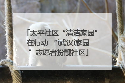 太平社区“清洁家园”在行动 “i武汉i家园”志愿者扮靓社区