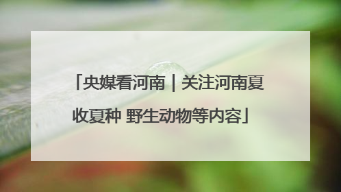 央媒看河南｜关注河南夏收夏种 野生动物等内容