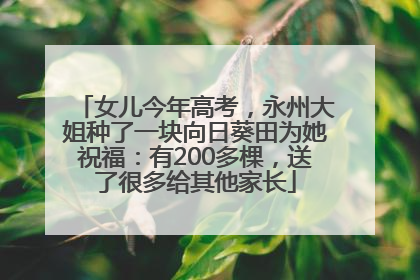 女儿今年高考，永州大姐种了一块向日葵田为她祝福：有200多棵，送了很多给其他家长