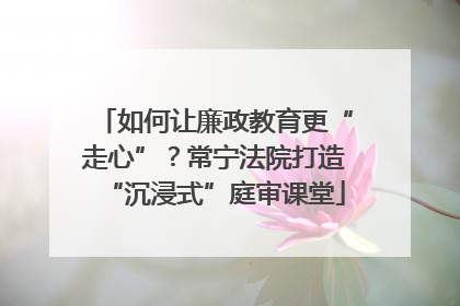 如何让廉政教育更“走心”？常宁法院打造“沉浸式”庭审课堂