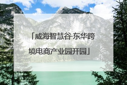 威海智慧谷·东华跨境电商产业园开园