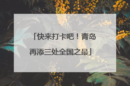 快来打卡吧！青岛再添三处全国之最