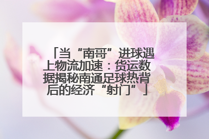 当“南哥”进球遇上物流加速：货运数据揭秘南通足球热背后的经济“射门”