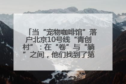 当“宠物咖啡馆”落户北京10号线“青创村”：在“卷”与“躺”之间，他们找到了第三种生活公式