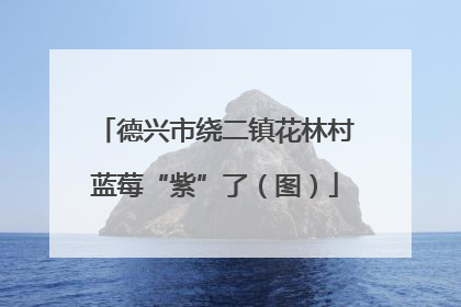 德兴市绕二镇花林村蓝莓“紫”了（图）