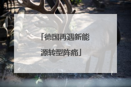 德国再遇新能源转型阵痛