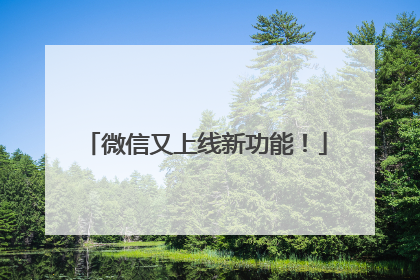 微信又上线新功能！
