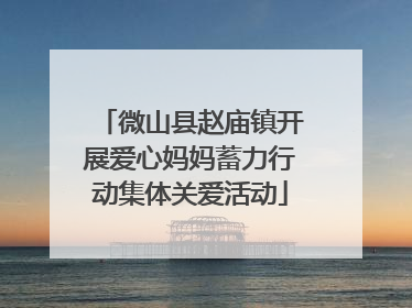 微山县赵庙镇开展爱心妈妈蓄力行动集体关爱活动