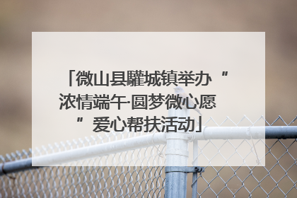 微山县驩城镇举办“浓情端午·圆梦微心愿”爱心帮扶活动