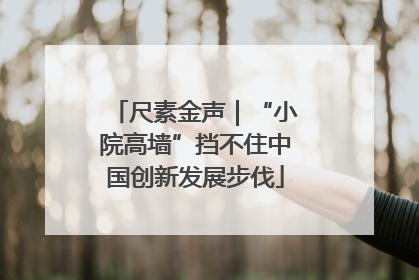 尺素金声｜“小院高墙”挡不住中国创新发展步伐