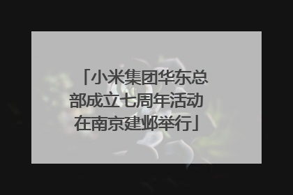 小米集团华东总部成立七周年活动在南京建邺举行