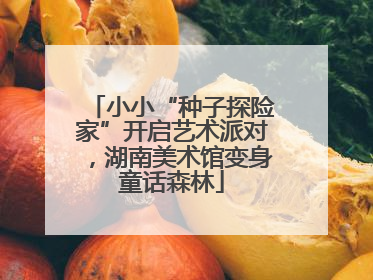 小小“种子探险家”开启艺术派对，湖南美术馆变身童话森林