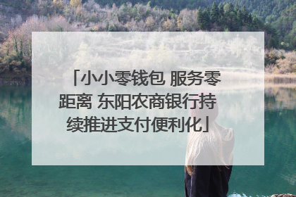 小小零钱包 服务零距离 东阳农商银行持续推进支付便利化