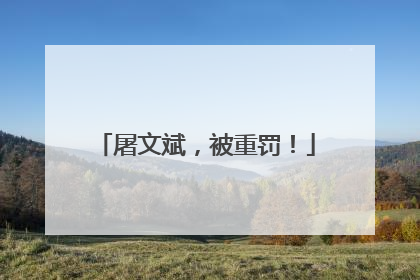 屠文斌，被重罚！