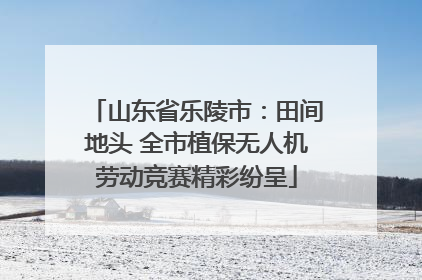 山东省乐陵市：田间地头 全市植保无人机劳动竞赛精彩纷呈