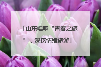 山东唱响“青春之旅”，深挖情绪旅游