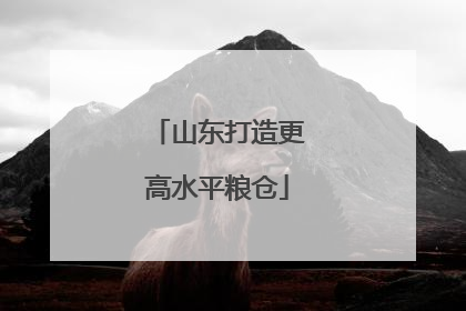 山东打造更高水平粮仓