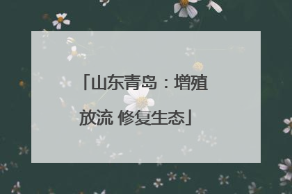 山东青岛：增殖放流 修复生态
