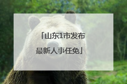 山东1市发布最新人事任免