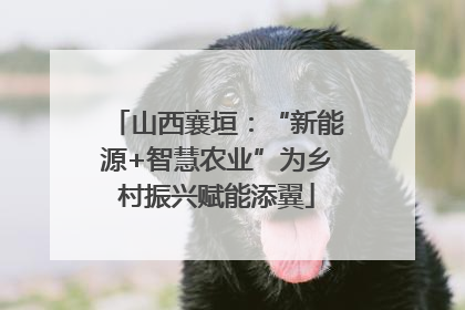 山西襄垣：“新能源+智慧农业”为乡村振兴赋能添翼
