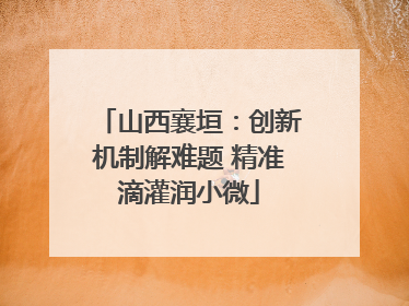 山西襄垣：创新机制解难题 精准滴灌润小微