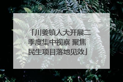川姜镇人大开展二季度集中视察 聚焦民生项目落地见效