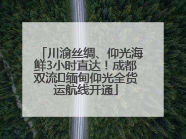 川渝丝绸、仰光海鲜3小时直达！成都双流⇌缅甸仰光全货运航线开通