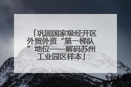 巩固国家级经开区外贸外资“第一梯队”地位——解码苏州工业园区样本