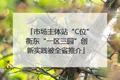 市场主体站“C位” 衡东“一区三园”创新实践被全省推介