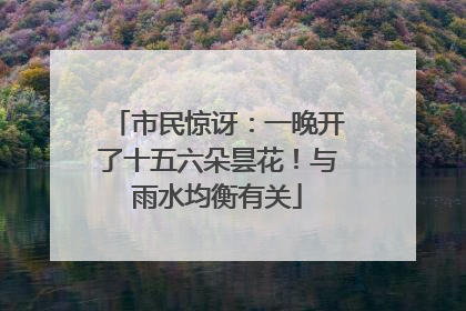 市民惊讶：一晚开了十五六朵昙花！与雨水均衡有关