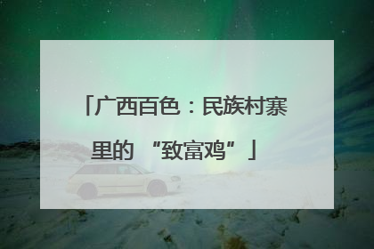 广西百色：民族村寨里的 “致富鸡”