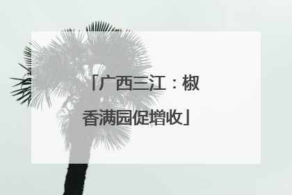 广西三江：椒香满园促增收