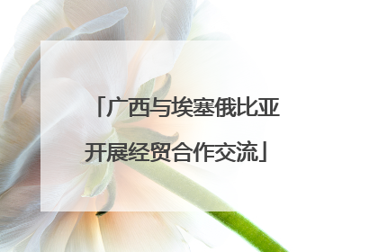 广西与埃塞俄比亚开展经贸合作交流