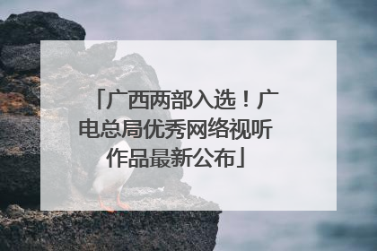 广西两部入选！广电总局优秀网络视听作品最新公布