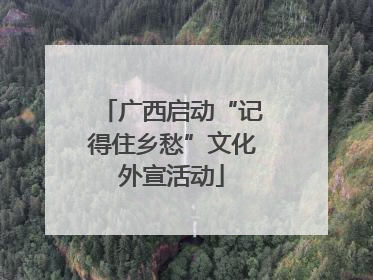 广西启动“记得住乡愁”文化外宣活动