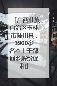 广西壮族自治区玉林市陆川县：3900多名本土干部回乡解纷促和