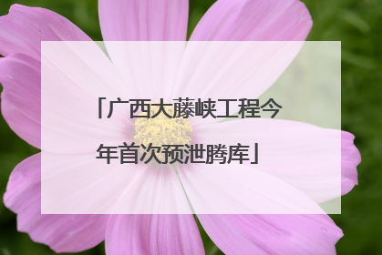 广西大藤峡工程今年首次预泄腾库