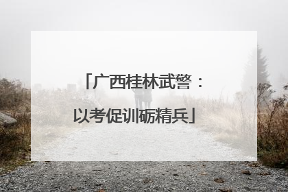 广西桂林武警：以考促训砺精兵