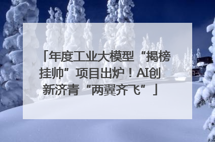 年度工业大模型“揭榜挂帅”项目出炉！AI创新济青“两翼齐飞”