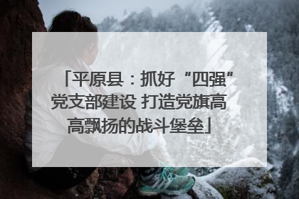 平原县：抓好“四强”党支部建设 打造党旗高高飘扬的战斗堡垒