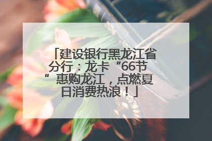 建设银行黑龙江省分行：龙卡“66节”惠购龙江，点燃夏日消费热浪！